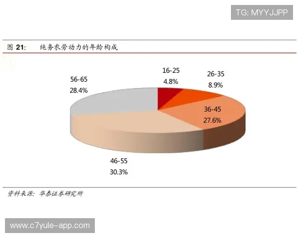 围绕奥格斯堡俱乐部劳可斯霍夫的发展历程与未来战略全面解析