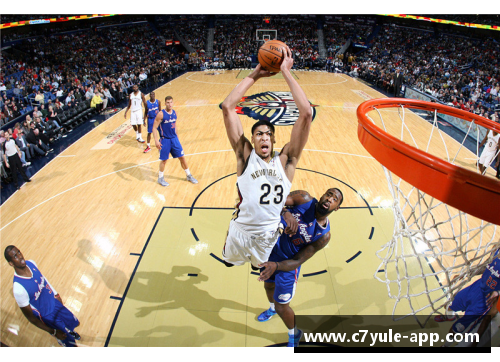 NBA明星的篮球奶昔：全面探索球员的健康与营养